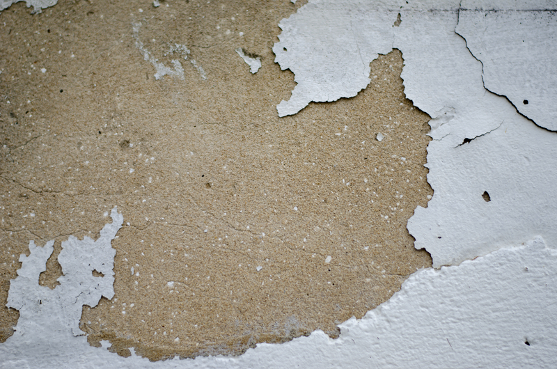 Exfoliating the Old: Removing Paint Flakes