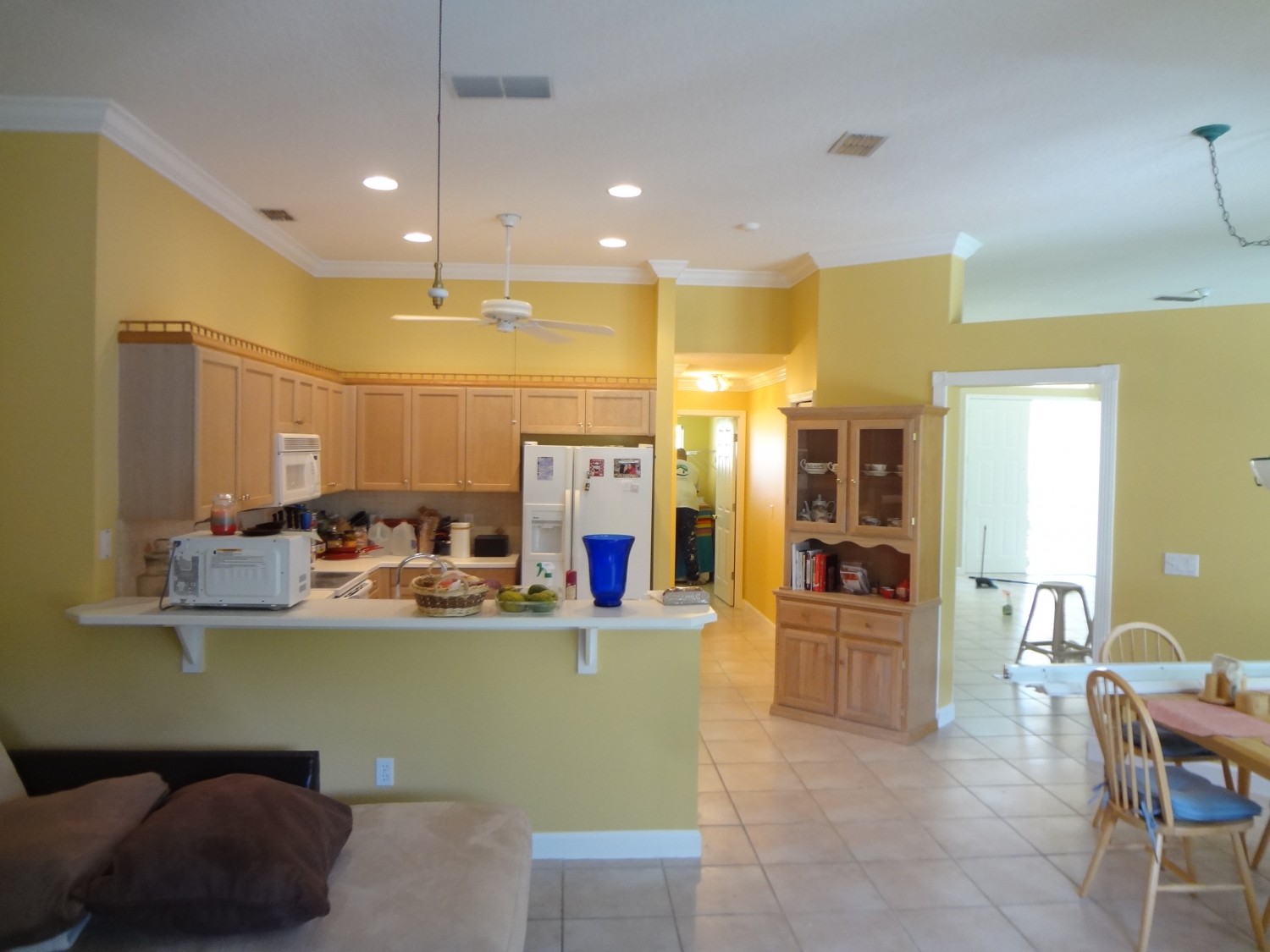 Residential Painting Services in Orlando FL